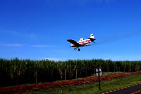 Aplicação de defensivos nas lavouras de cana de açúcar utiliza aeronaves