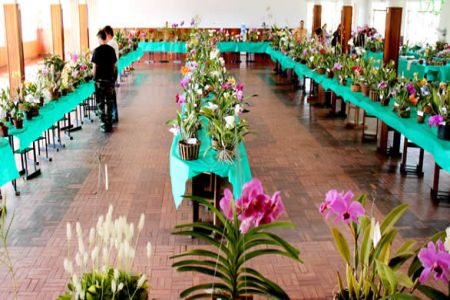 8ª Exposição Regional de Orquídeas em Olímpia foi sucesso